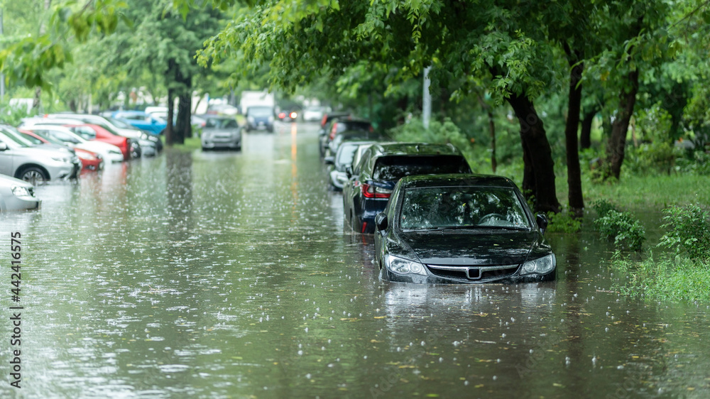 Kenya Expected to Receive Heavier Rainfall